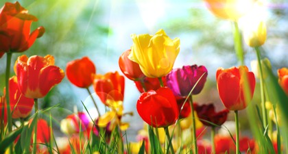 Electro colouring in various shades